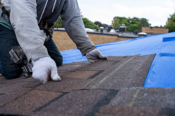Best Roof Leak Repair  in Eugene, OR