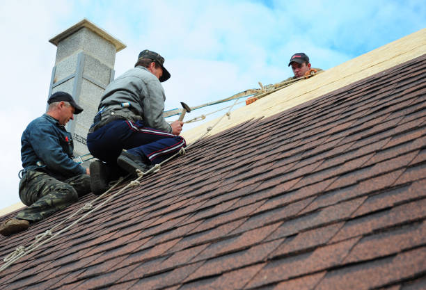 Best Residential Roofing Contractor  in Eugene, OR